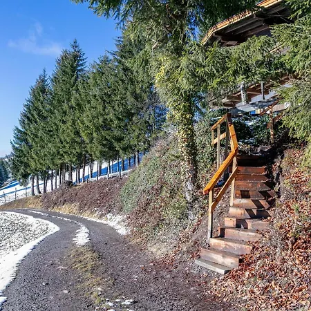 Sonnenhuette * Hopfgarten im Brixental
